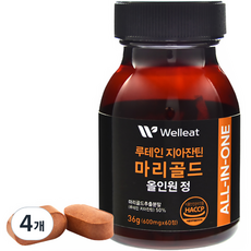 웰리트 루테인 지아잔틴 마리골드 올인원 정, 4개, 36g