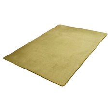 DR.MANGO 芒果科技 大地墊 纖維絨毛(優質珊瑚絨) 海綿夾層加厚約15mm 防滑PVC底