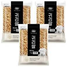 더담은 캐나다산 귀리쌀, 1kg, 3개