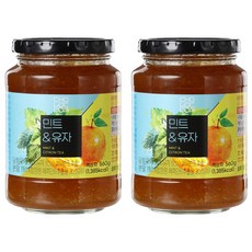 초록원 민트 유자차, 560g, 1개입, 2개