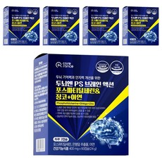 케어란스 두뇌엔 PS 브레인 액션 포스파티딜세린 징코 아연 영양제 2.4g, 5개, 6정