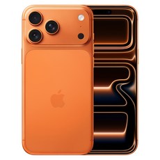 Apple iPhone 17 Pro Max 原廠保固, 宇宙橙色, 2TB