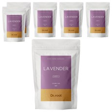 닥터루트 라벤더 삼각티백, 1.2g, 25개입, 6개