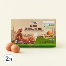 온에그 유기농 인증 유정란 780g, 15구, 2개 15구, 2개