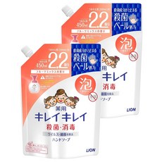 LION 獅王 趣淨 洗手慕斯補充包 清新果香, 2個, 450ml