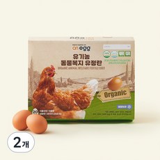 온에그 유기농 인증 유정란 1.04kg, 20구, 2개
