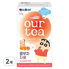 아워티 콤부차 자몽, 5g, 10개입, 2개