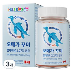 아이클키즈 유아 오메가 꾸미, 60정, 3개