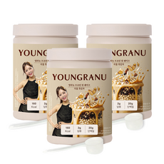 영라뉴 대용량 프로틴 핏 쉐이크 곡물흑임자맛, 450g, 3개