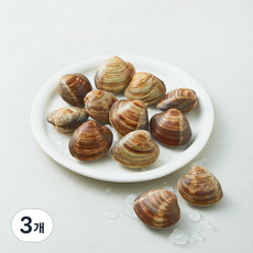 아라보감 생물 백합조개 (냉장), 3개, 700g
