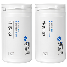 크리오 생활물가 구연산 다목적 세정, 1kg, 2개