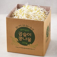 곰곰 곱슬이 콩나물, 3.5kg, 1박스
