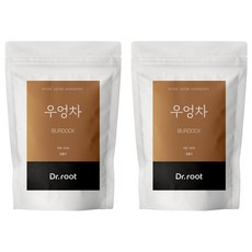 닥터루트 우엉 삼각티백 30g, 1.2g, 25개입, 2개