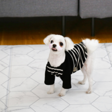 디오마레 마블 강아지매트 폴딩형, 혼합색상, 1개