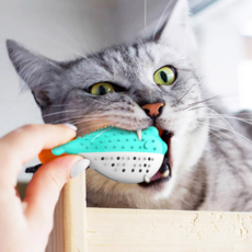 딩동펫 반려동물 복어볼 고양이 장난감, 블루, 1개