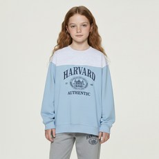 하버드키즈 아동용 컬러블럭 스쿨 맨투맨 HJCCMTF14273