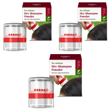 아케이 더마 노세범 헤어 드라이샴푸 파우더 프루츠향, 4g, 3개