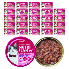 동원뉴트리플랜 고양이 간식캔, 흰살참치 + 연어 혼합맛, 160g, 24개