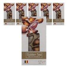 골든씨 씨쉘 초콜릿, 125g, 6개
