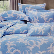 DESMOND 岱思夢 60支 100%天絲兩用被床包組