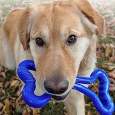 PLANET DOG 小狗拖骨玩具, 藍色, 1個