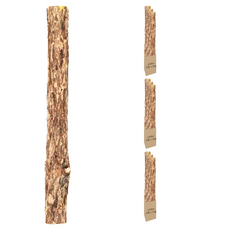 pidan 寵物清潔護理用品系列 潔齒棒, 木天蓼, 9支, 13g