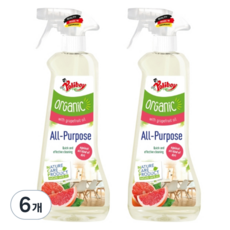 Poliboy 保麗男孩 廚房衛浴多用途清潔噴霧, 6個