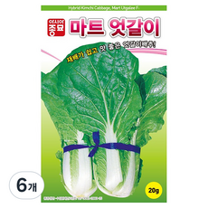 아시아종묘 마트 엇갈이 배추 씨앗 20g, 6개