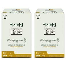 YEJIMIIN 玥之美人 漢方護墊, 40片, 2包, 加長型(17.5cm)