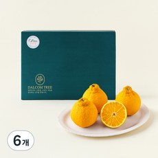 고당도 한라봉 2kg(대과), 2kg, 6개