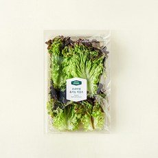 프리미엄 유기농 적상추, 120g, 1개