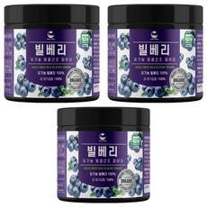 HAENA Food 凍乾越橘粉, 100g, 3個