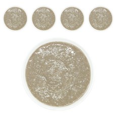 짱죽 실온이유식 초기 7개월부터 한우양송이 묽은죽, 160g, 5개, 혼합맛