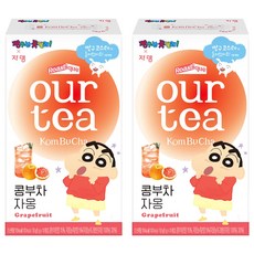 아워티 콤부차 자몽, 5g, 10개입, 2개