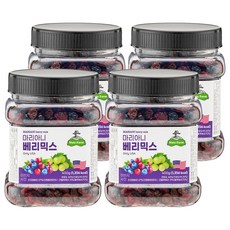 넛츠팜 마리아니 베리믹스, 400g, 4개