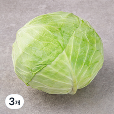 제주 양배추, 3개