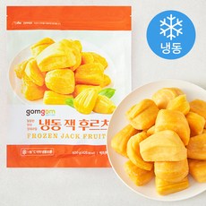 곰곰 냉동 잭 후르츠, 1개, 500g