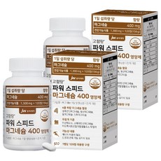 JW중외제약 파워 스피드 마그네슘 400 영양제 156g, 120정, 2개
