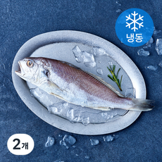 곰곰 국내산 손질 백조기 (냉동), 2개, 220g