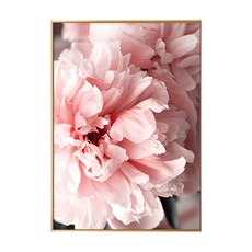 花開富貴 牡丹II 畫框, 金色