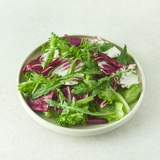 유러피안 루꼴라믹스 샐러드채소, 100g, 1개, 1개입