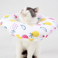 水果圖案寵物防舔脖圍 FYQ010 XS號, 1個