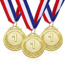 1991프로젝트 우승 상메달 목걸이 금색, 3개