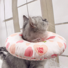 You&Me寵物犬頸枕頸圈 FYQ007 YM02 M, 1個