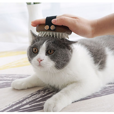 제이에이치컴퍼니 고양이 목욕탕 스타일 브러쉬 소형, 혼합색상, 1개