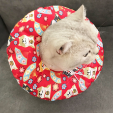 반려견 방수 목쿠션 넥카라 FYQ004 레드독 XXS, 1개