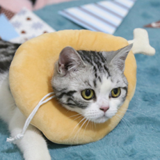 You and Me 狗頸墊頸圈 FYQ005 雞 S, 1個