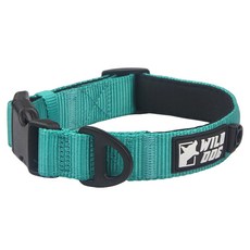 와일드독 강아지 베이직 칼라 목줄, 블루그린, 1개