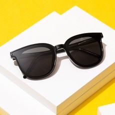 Reclow 太陽鏡 EE473