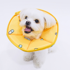 돌로박스 스트레스 프리 반려동물 넥카라 2호, 1개